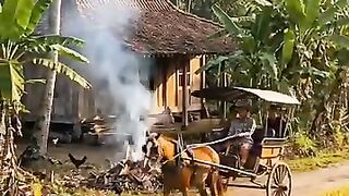 Suasana pagi didesa yang slalu dirindukan♥️