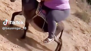Video lucu