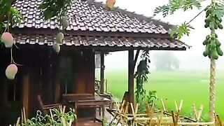 ????️ Hujan tak hanya menumbuhkan tanaman, tapi juga menenangkan hati yang lelah... #suasanapedesaan #beautifulnature