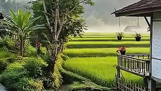 Suasana pagi yang menenangkan.. #pemandanganindah