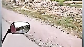 Vidéo ❤️