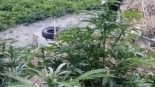 احلى جيبال الريف