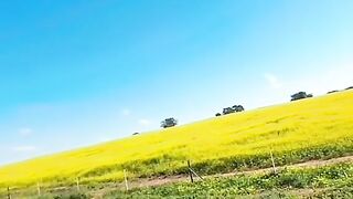 Vidéo ❤️❤️