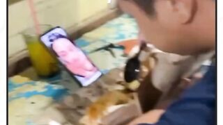 sahur di temenin keyshit