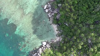Travelon - id | Trending HD Video
