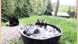 Poll water
