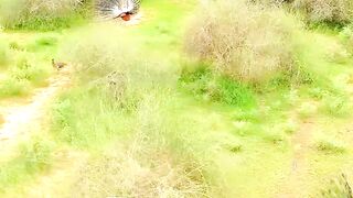 A Village nature view