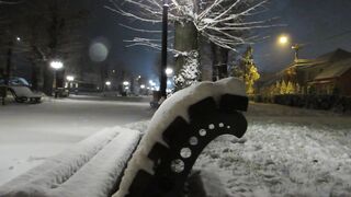Snow boot - park ground and benches covered in snow | Trending HD Video