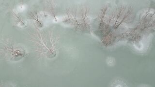 Winter Coat - id | Trending HD Video