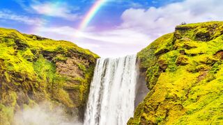 Travel Backpack - id | Trending HD Video