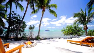 travelite - id | Trending HD Video