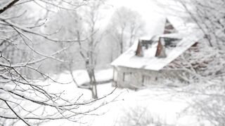 Winterhalter - house covered in snow | Trending HD Video