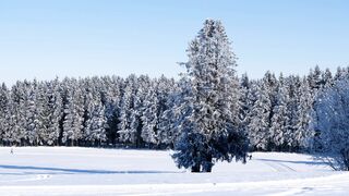 Broken Country Reese s Book Club - cross country skiing in a winter wonderland | Trending HD Vi