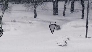 The Shy Snow Woman and the Cursed Ring - black suv car on snow covered ground | Trending HD Vid