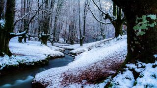 Winterhalter - id | Trending HD Video