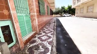 These stray cats came quickly because they were sure they would get food and love.