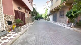 Feed and play with cute mama cat and her hungry friend.