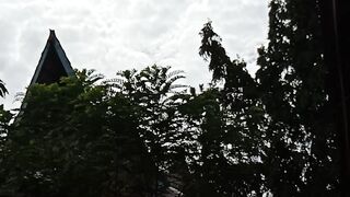 Suasana Pedesaan
