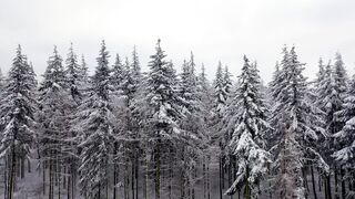 Winter solstice - id | Trending HD Video