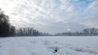 Winter solstice - panning shot of winter landscape | Trending HD Video
