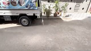 We visited this beautiful family and gave them love and food.