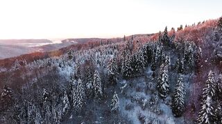 Winter Coat - id | Trending HD Video