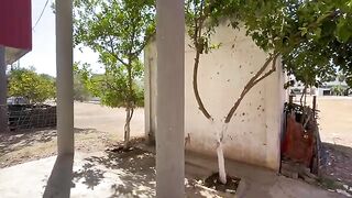 You helped the pregnant cat down from the tree and gave her love and food.