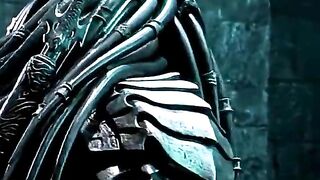 Alien vs predator...