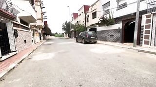 A very cute stray cat asks for love and food with her cute meow, unlike her shy friend.
