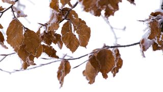 Winter solstice - id | Trending HD Video
