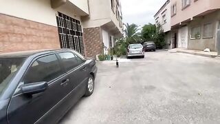 Stray cats follow me to the car to get food to fill their bellies so they can nurse their babies.