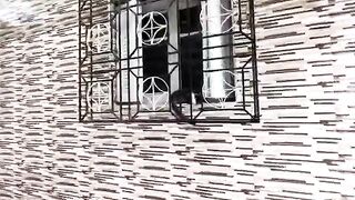 Playing and feeding the friendly stray cats that await us every morning.