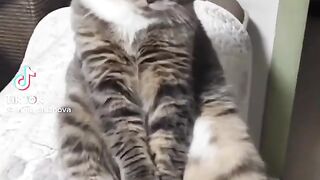 0009_KOT