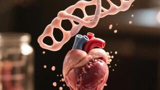 How Organ Meats Improve Energy Levels