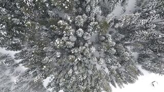 The Shy Snow Woman and the Cursed Ring - id | Trending HD Video