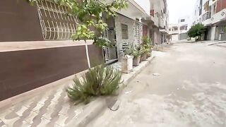 The mother cat was afraid for her children and went to check on them.
