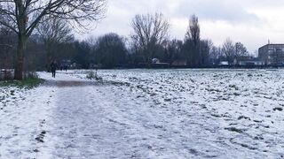 The Wedding People A Novel - people walking in a snowy road in the park | Trending HD Video