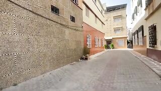 The mother cat gave birth to very beautiful kittens and fed the group of stray cats.