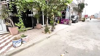 Mama cat and her kittens are very hungry and desperately asking for food.