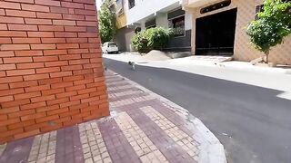 The cute stray cats always follow me to the car to get the food box.