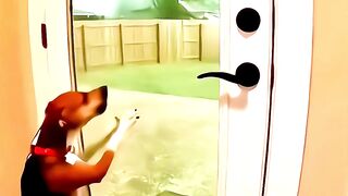 Would you stay calm in this situation?