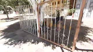 The mother cat and her baby are very cute and ask for food with cute meows.