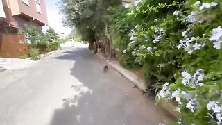 After the cat near me got angry, my husband picked him up to calm him down.