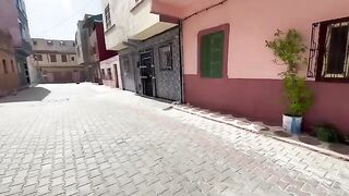 A very beloved white cat that does not want to be carried in private.