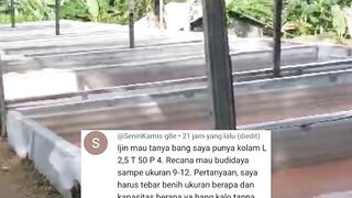 Segmen usaha budidaya lele paling MUDAH & SIMPLE ya ini