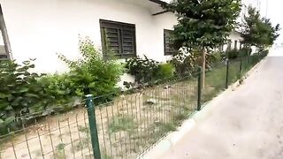 ‏ upon seeing us, mama cat jumped over the fence to get love and food