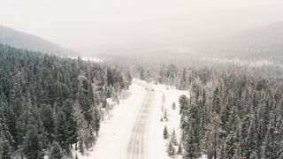 Winterhalter - aerial footage of forest road during winter season | Trending HD Video