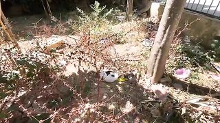 Very friendly kittens that want lots of love and delicious food.