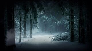 Winter solstice - id | Trending HD Video