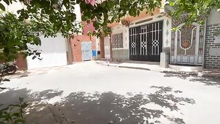 The shy, stray cat began to trust us like his cute friend.